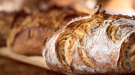 Referenzen – Bäckerei